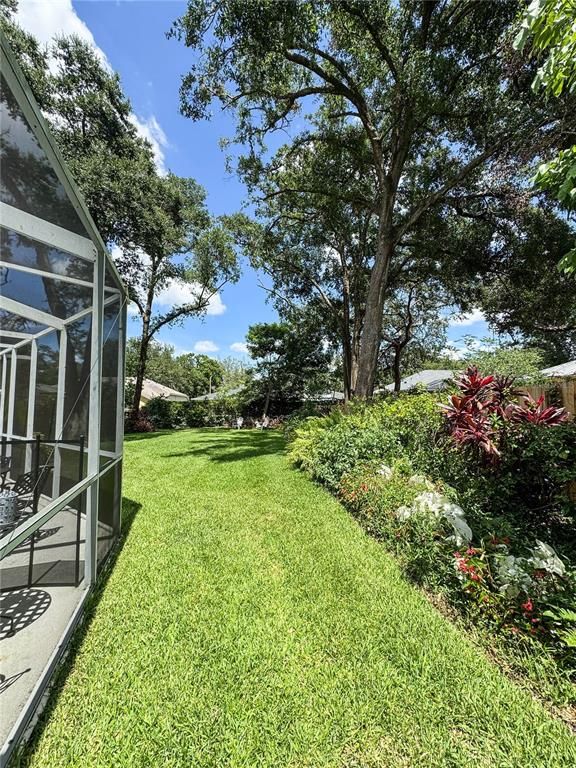 Backyard, Exterior
