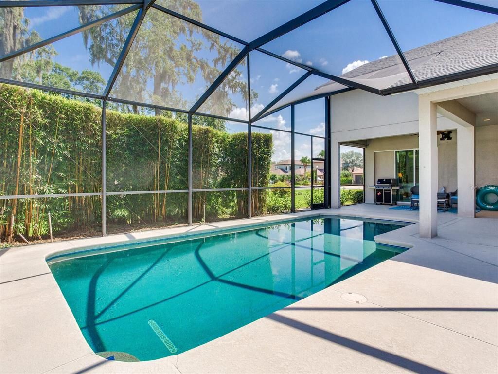 Glass Ceilings, Interior, Pool, Sun Room