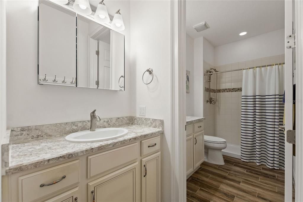 Bathroom, Interior, Recessed Lighting, Wood Texture Flooring