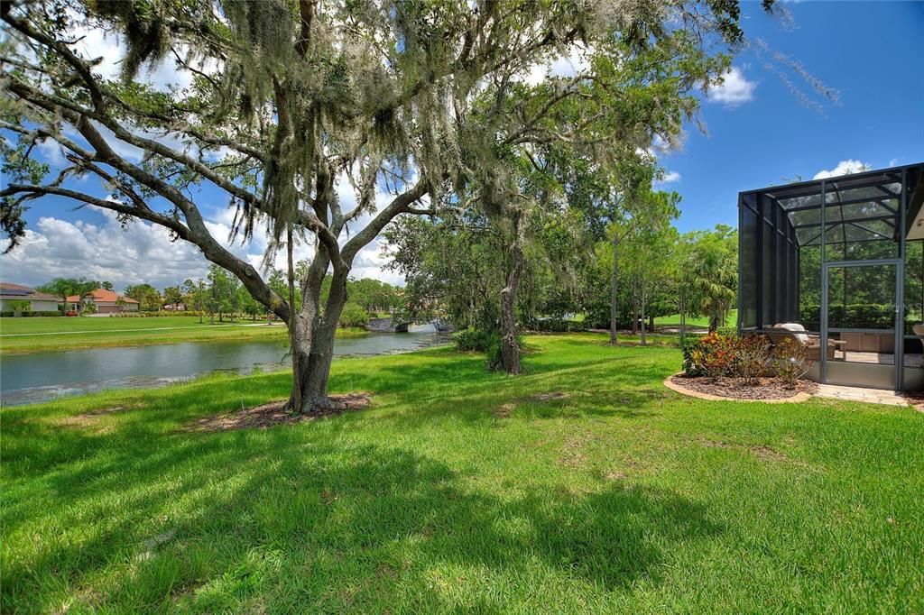 Backyard, Exterior, Water