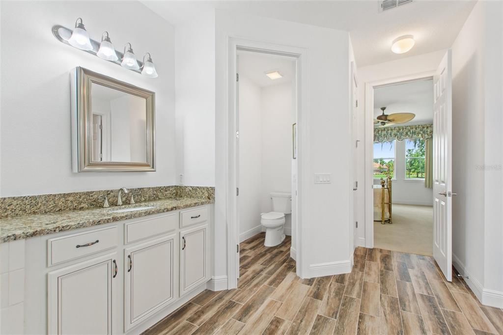 Bathroom, Interior, Wood Texture Flooring