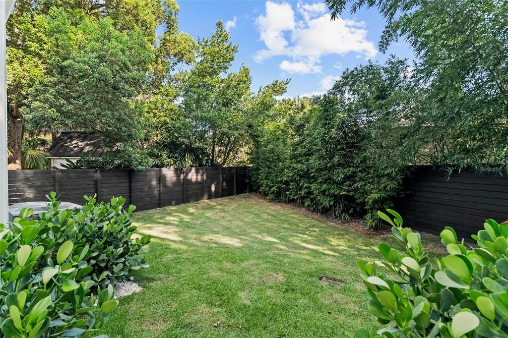 Backyard, Exterior