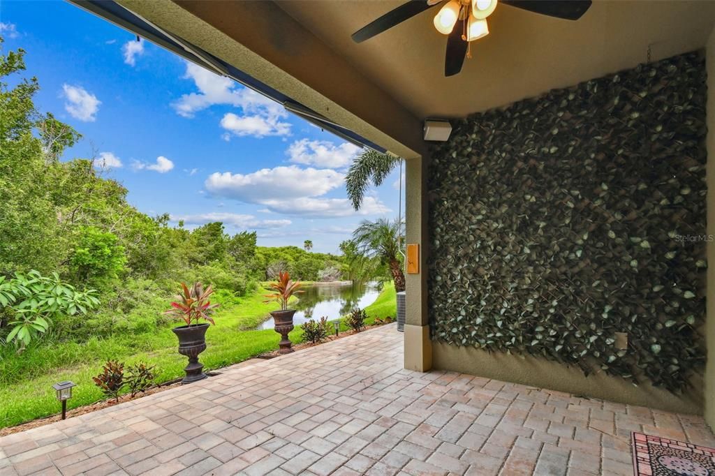 Backyard, Exterior, Water