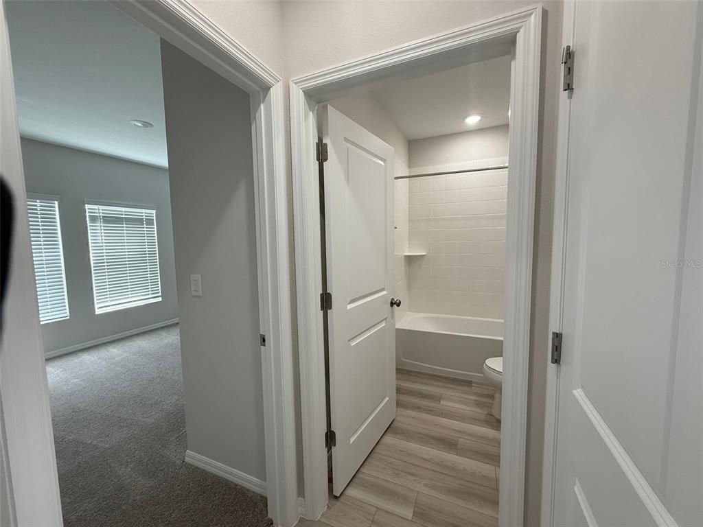 Bathroom, Interior, Recessed Lighting, Wood Texture Flooring