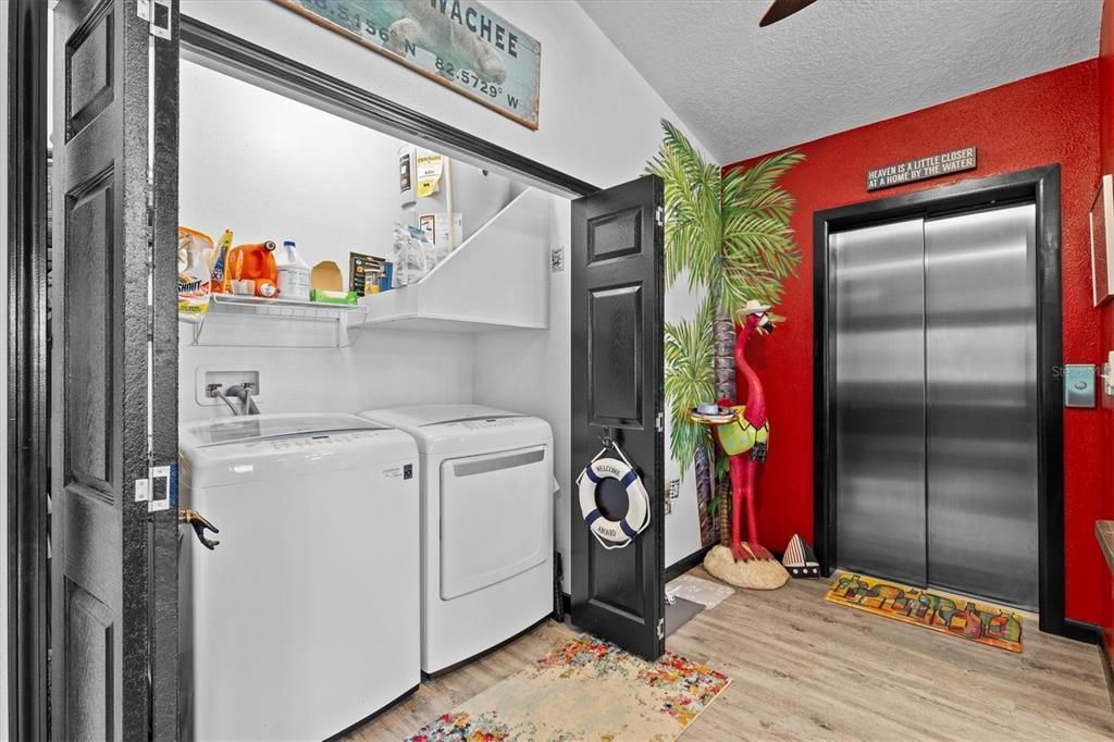 Interior, Washer, Wood Texture Flooring