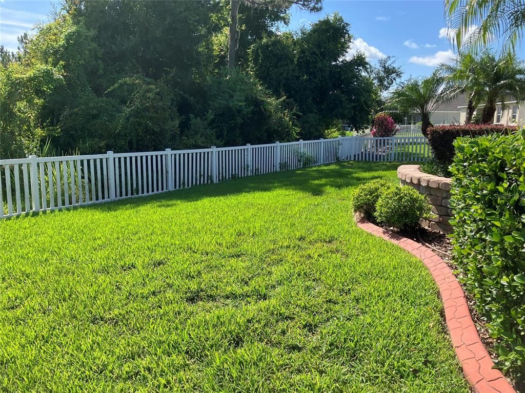Backyard, Exterior