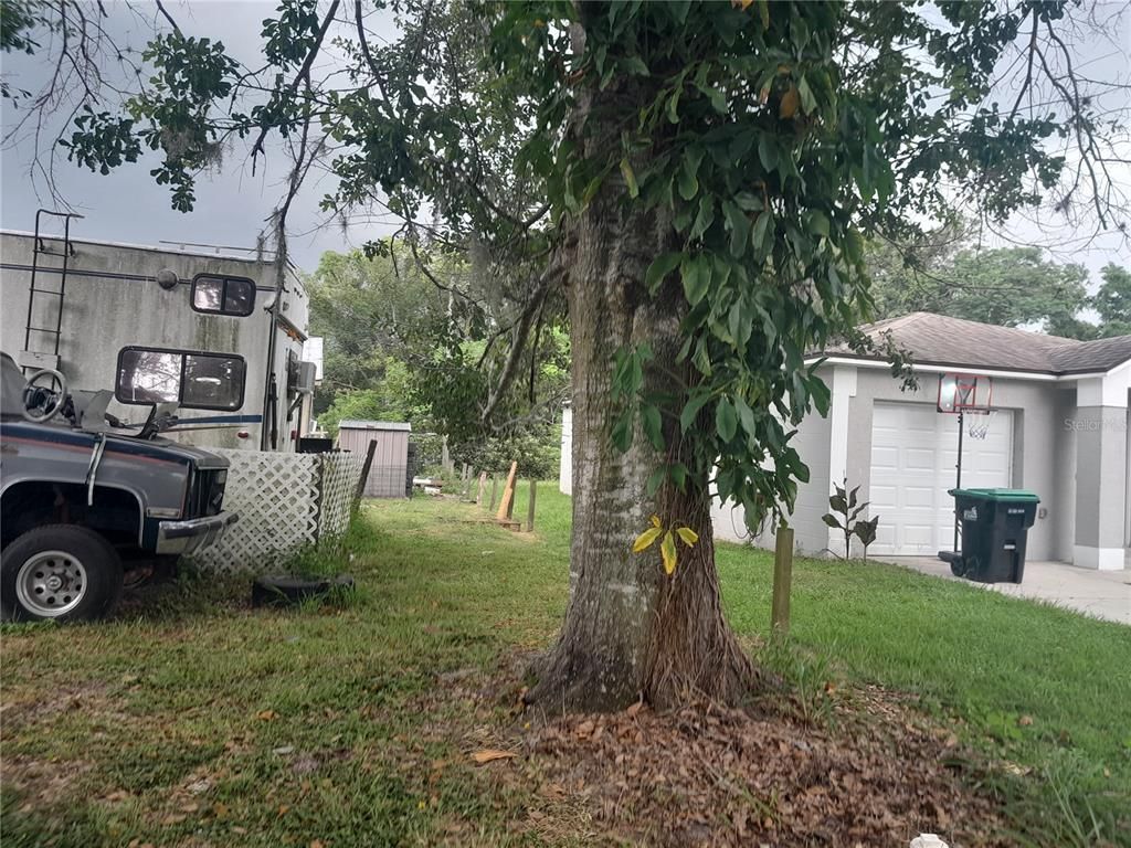 Backyard, Detached Garage, Exterior