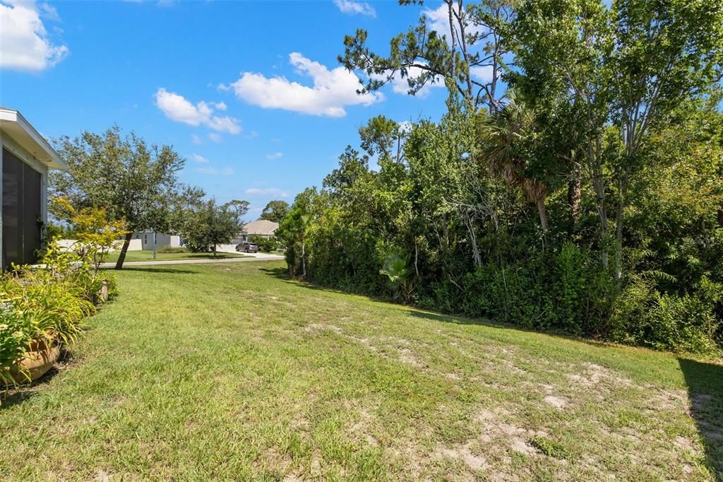 Backyard, Exterior