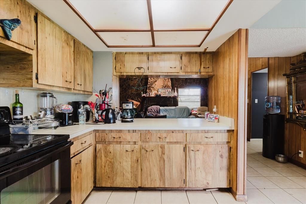 Interior, Kitchen, Wooden Walls