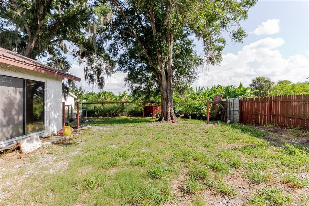 Backyard, Exterior