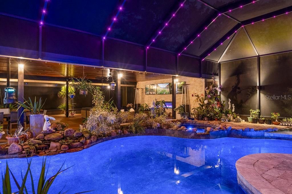 Glass Ceilings, Interior, Pool, Sun Room