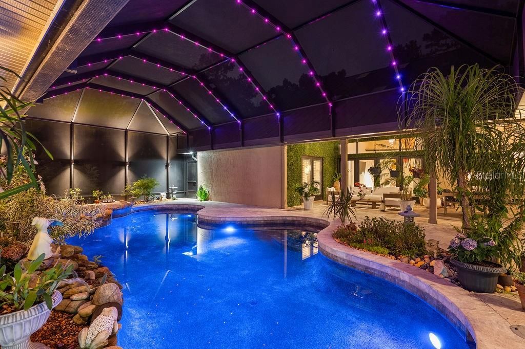 Glass Ceilings, Interior, Pool, Sun Room