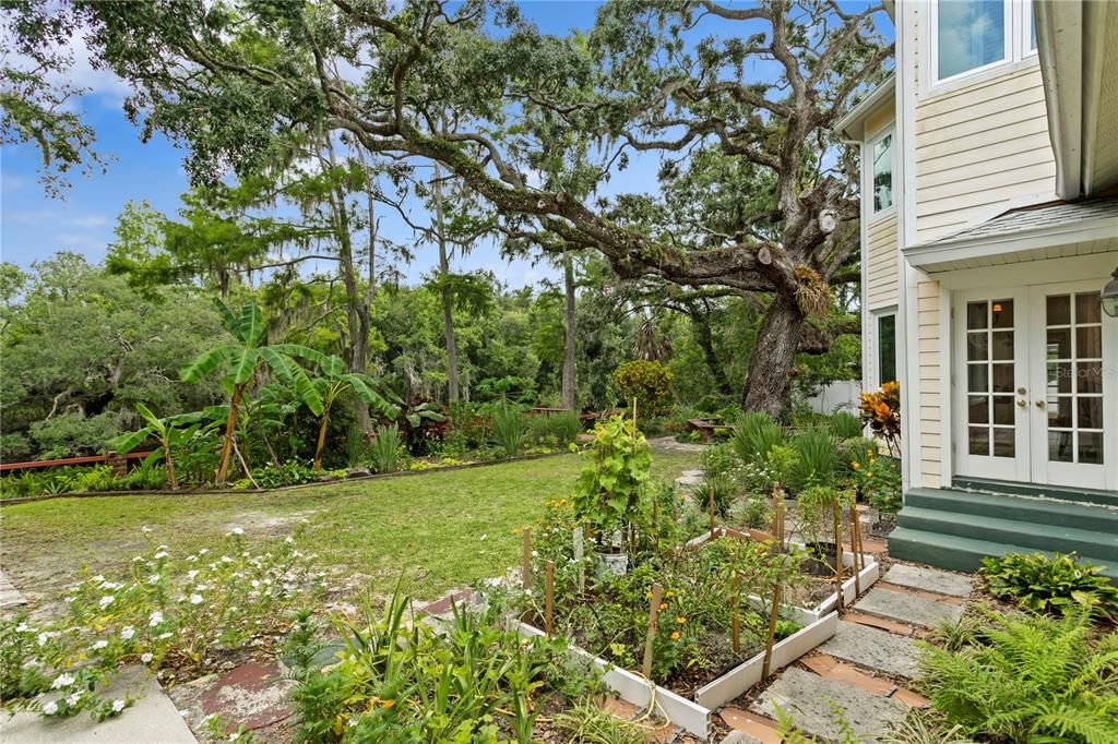 Backyard, Exterior