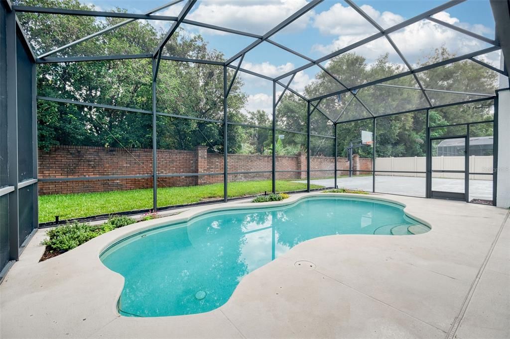 Glass Ceilings, Interior, Pool, Sun Room