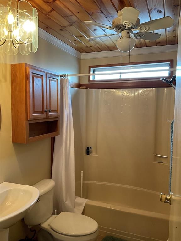 Bathroom, Interior, Wooden Ceilings