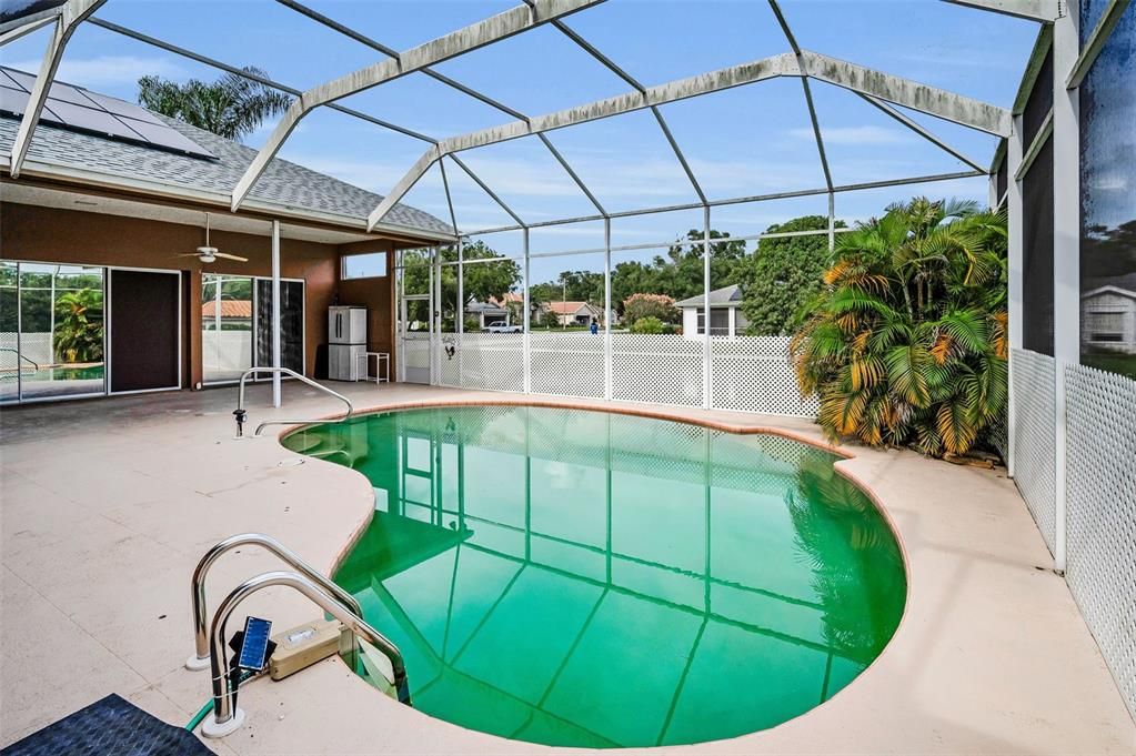 Glass Ceilings, Interior, Pool, Sun Room