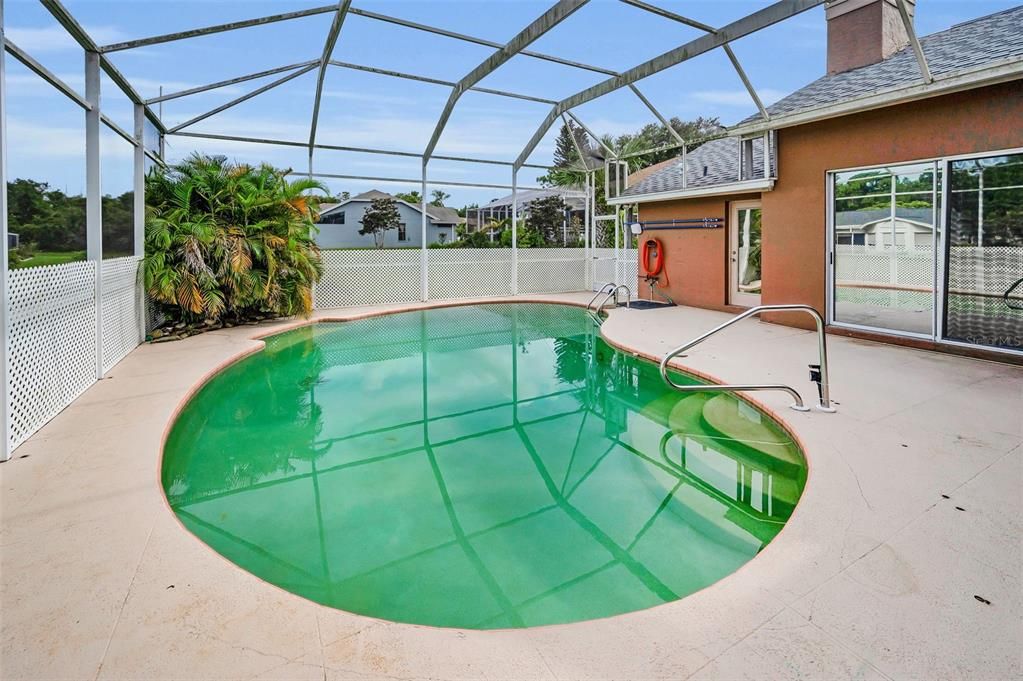 Glass Ceilings, Interior, Pool, Sun Room