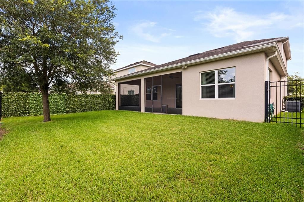 Backyard, Exterior