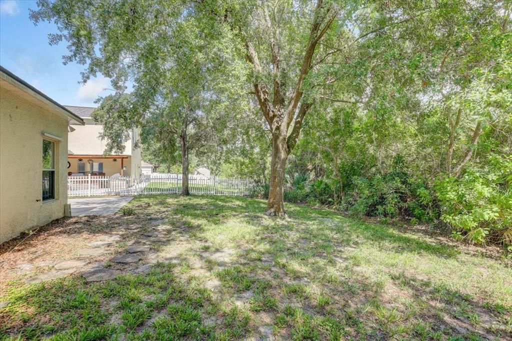 Backyard, Exterior