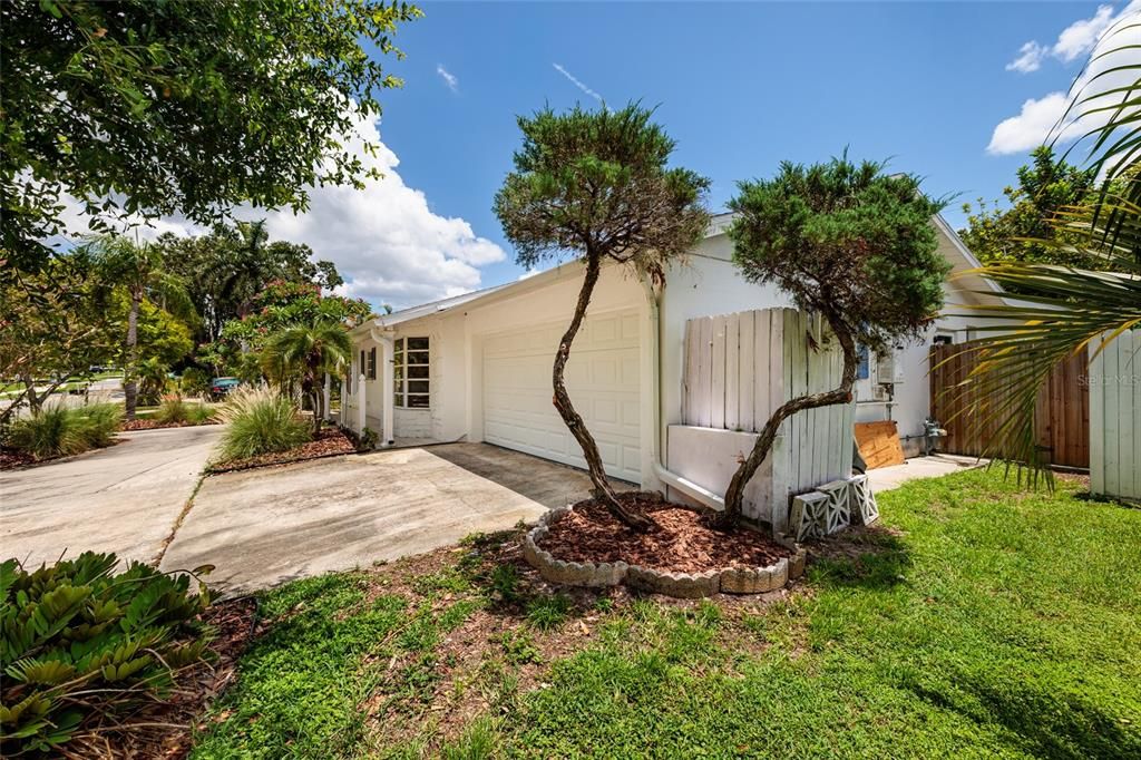 Backyard, Exterior