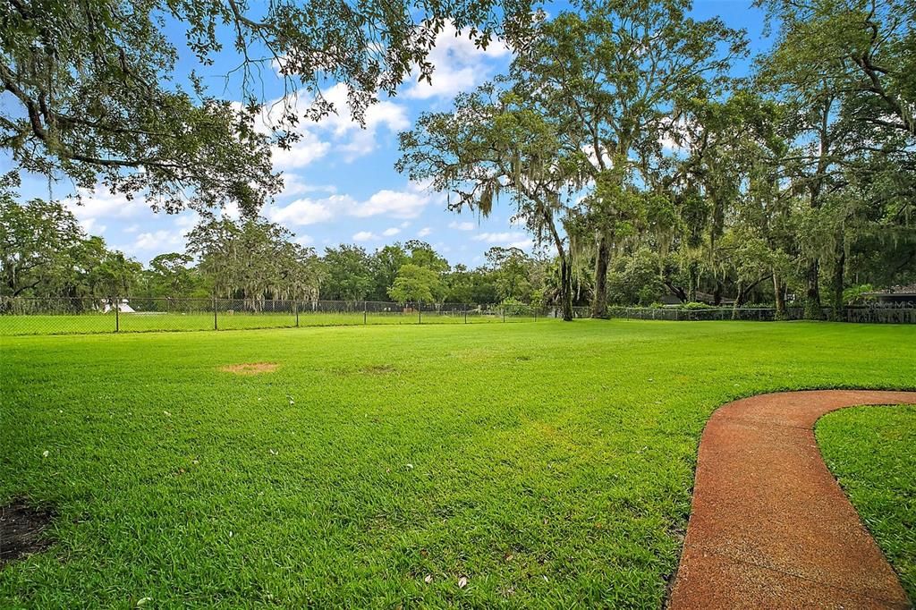 Backyard, Exterior