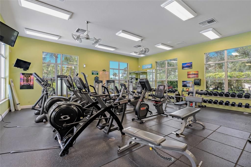 Fitness Equipment, Gym, Interior, Recessed Lighting
