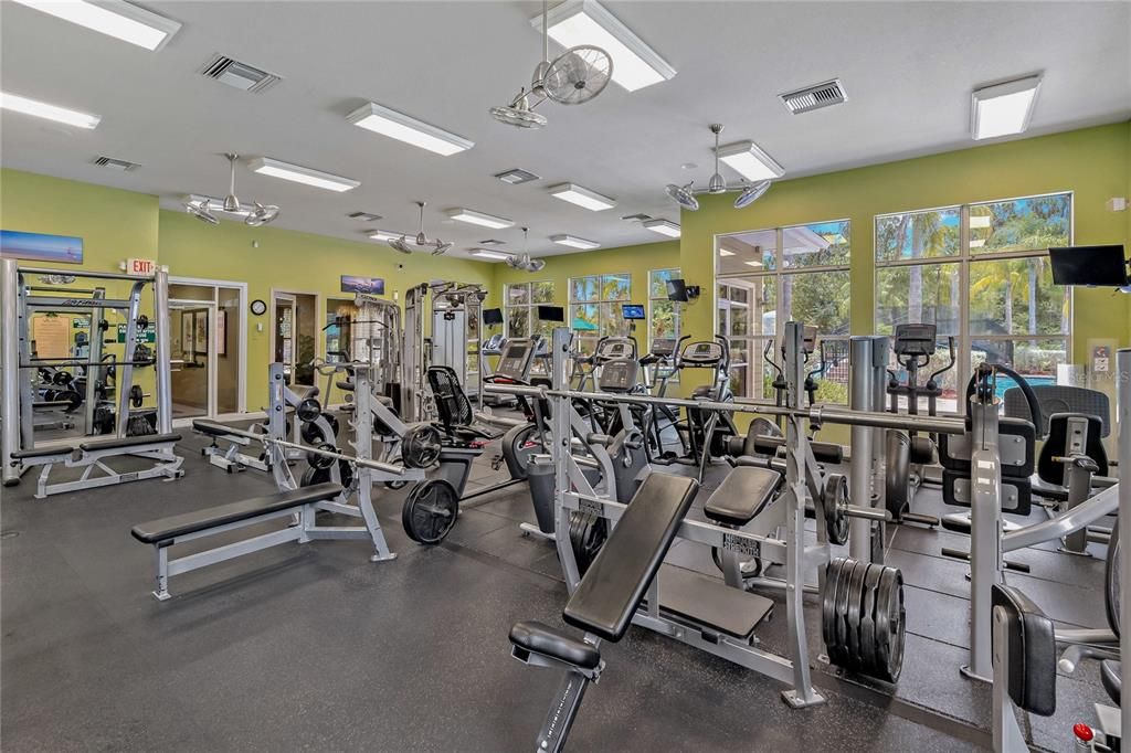 Fitness Equipment, Gym, Interior, Recessed Lighting