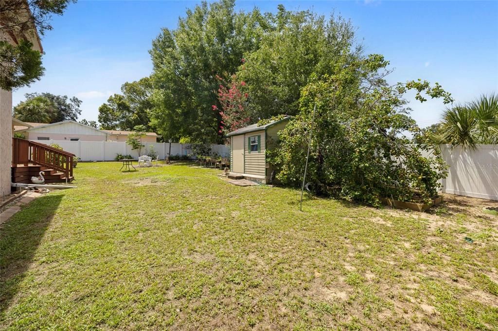 Backyard, Exterior