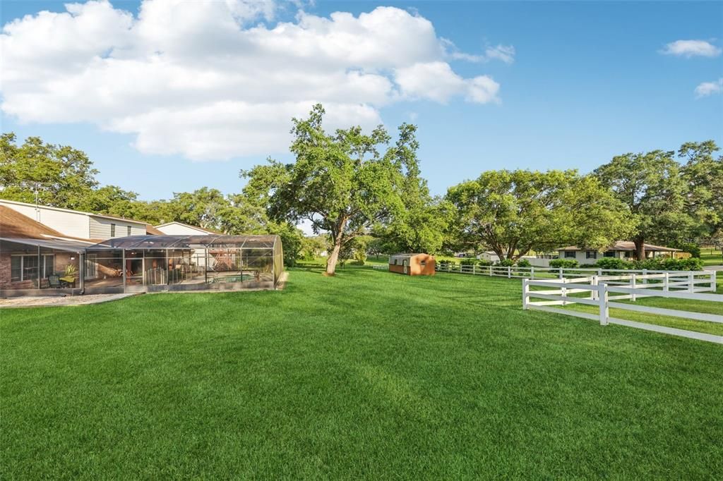 Backyard, Exterior