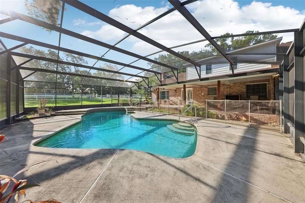 Glass Ceilings, Interior, Pool, Sun Room