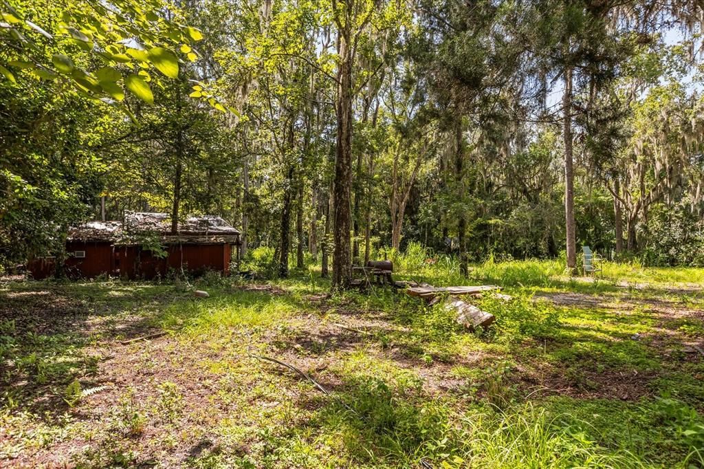 Backyard, Exterior, Hot Tub
