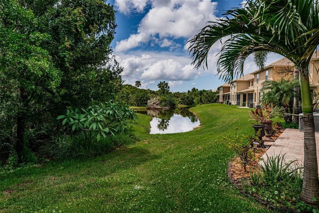 Backyard, Exterior, Water