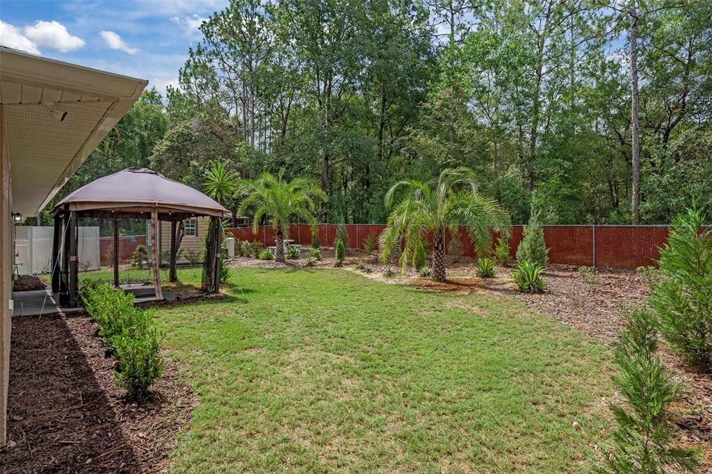Backyard, Exterior