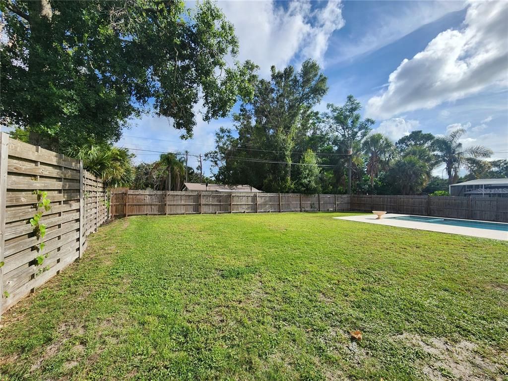Backyard, Exterior, Pool
