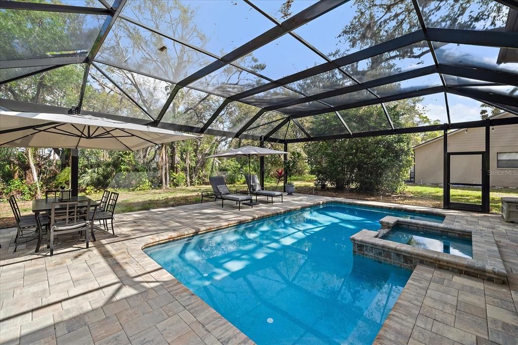 Glass Ceilings, Interior, Pool, Sun Room