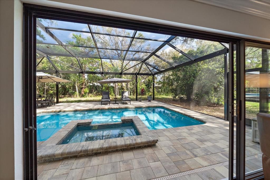 Glass Ceilings, Interior, Pool, Sun Room