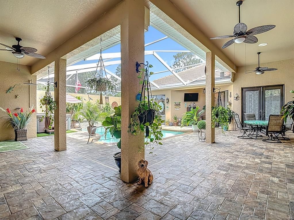 Dining room, Glass Ceilings, Interior, Pool, Sun Room