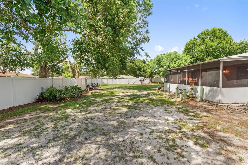 Backyard, Exterior