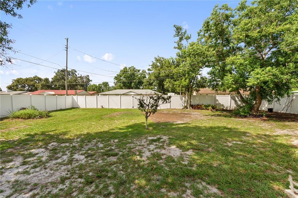 Backyard, Exterior