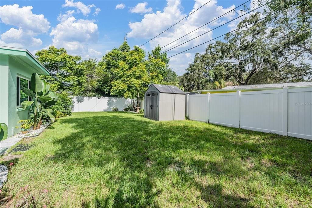 Backyard, Exterior