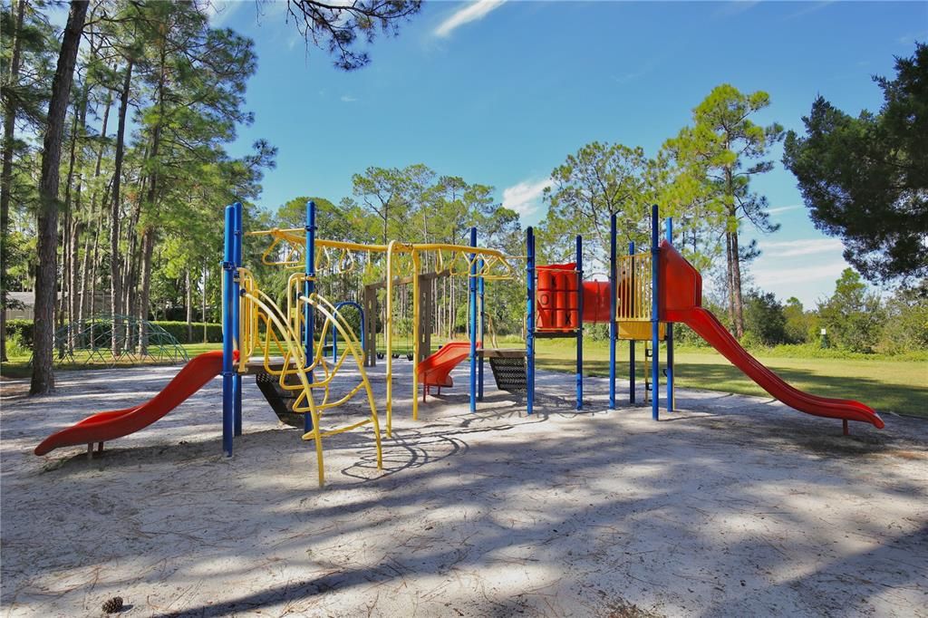 Backyard, Exterior, Playground