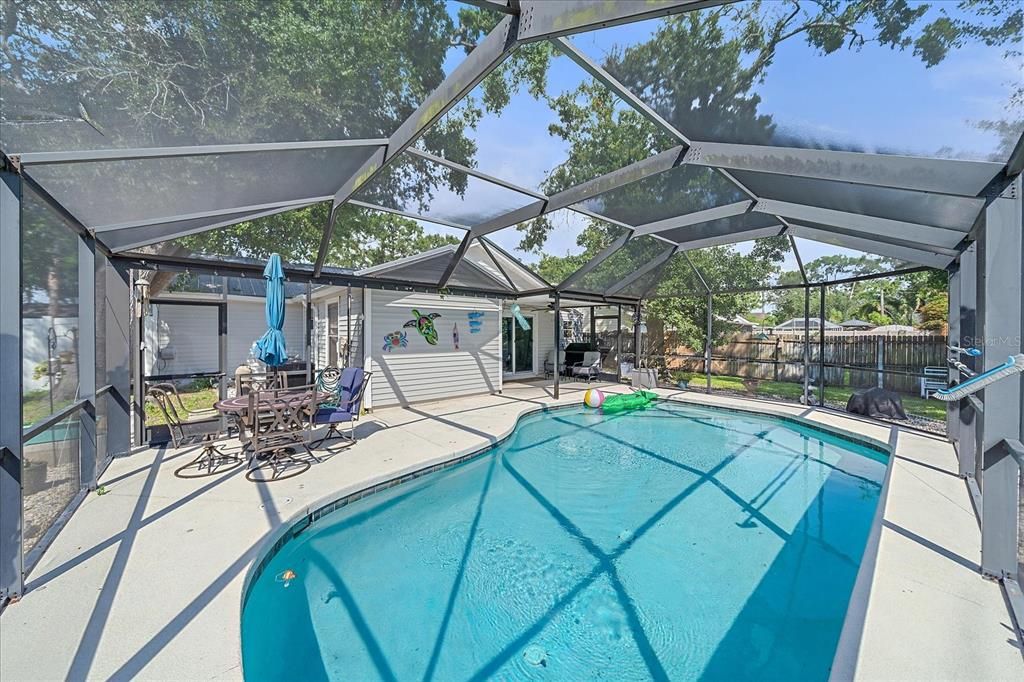 Glass Ceilings, Interior, Pool, Sun Room