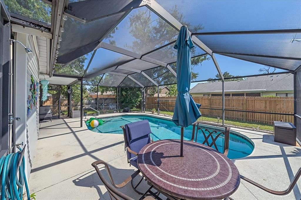 Glass Ceilings, Interior, Pool, Sun Room