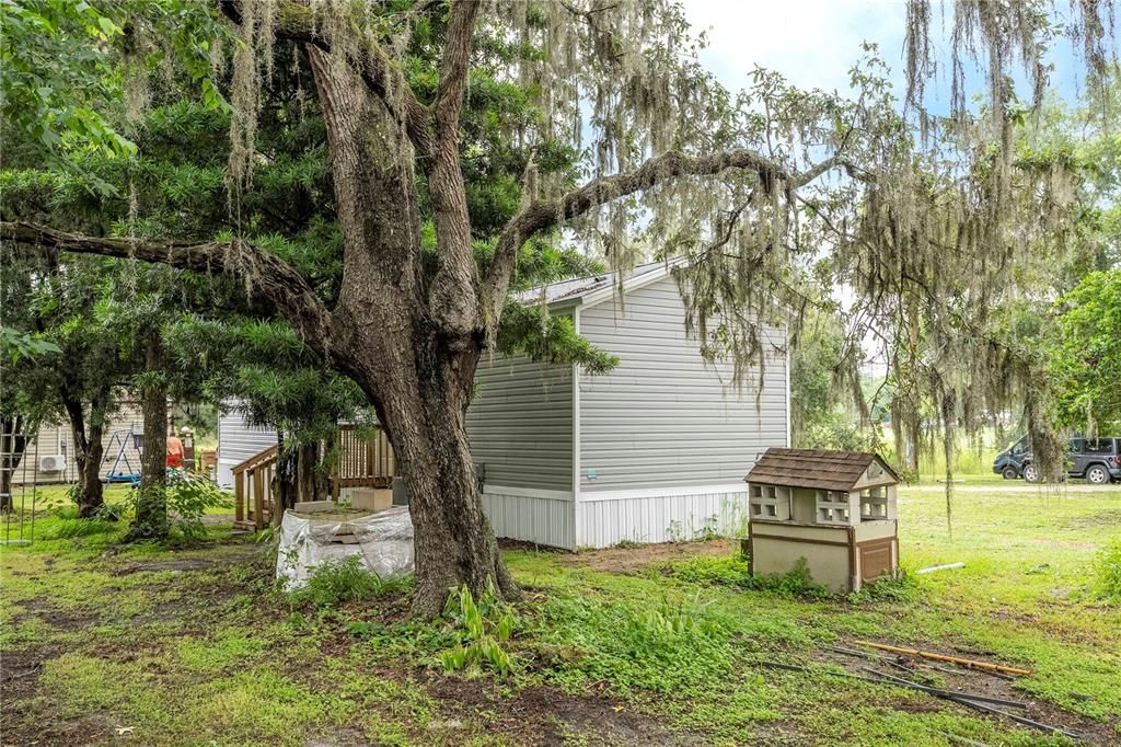 Backyard, Exterior