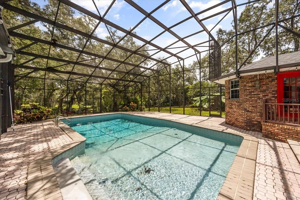 Glass Ceilings, Interior, Pool, Stone Walls, Sun Room