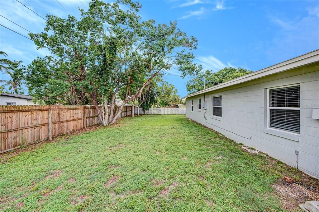 Backyard, Exterior