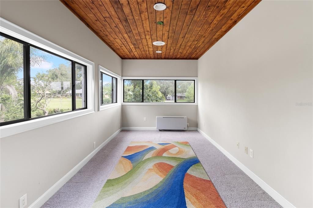 Interior, Wooden Ceilings