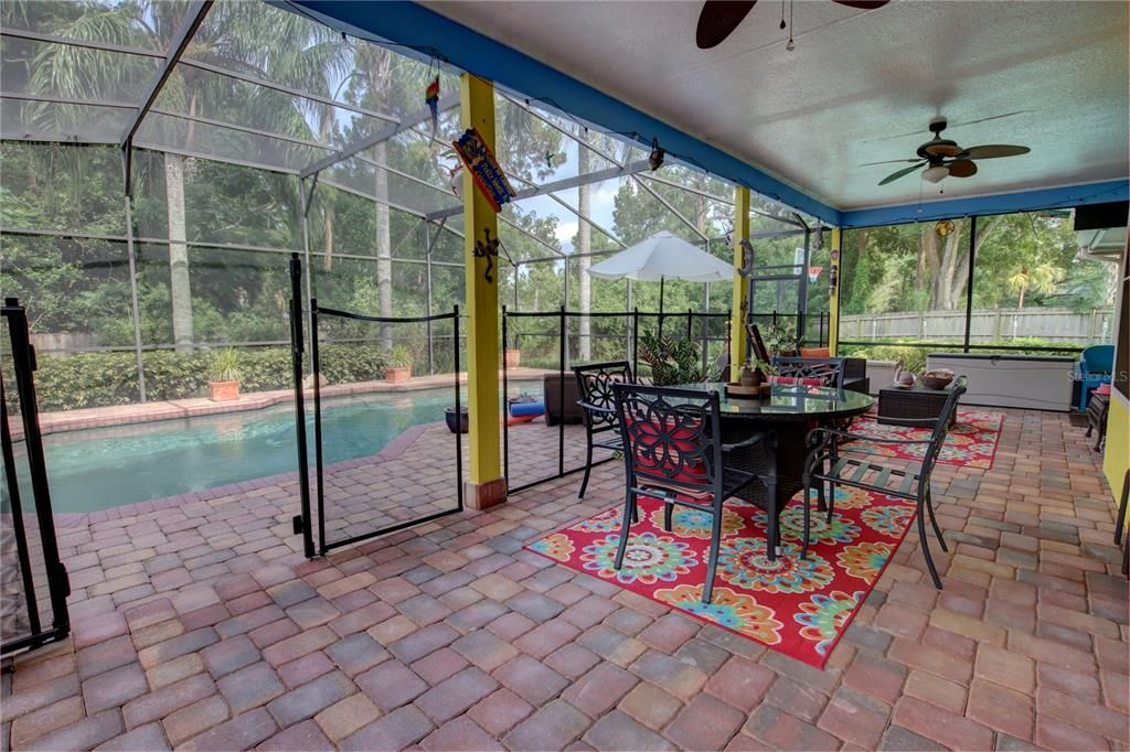 Dining room, Glass Ceilings, Interior, Pool, Sun Room
