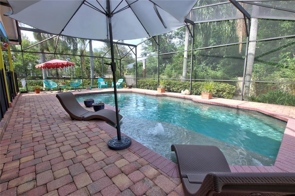 Glass Ceilings, Interior, Pool, Sun Room