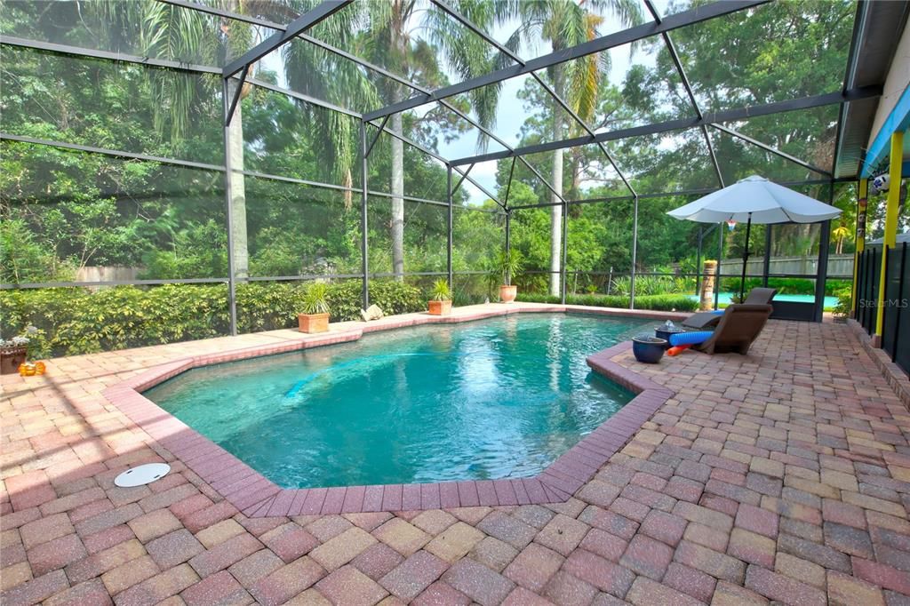 Glass Ceilings, Interior, Pool, Sun Room
